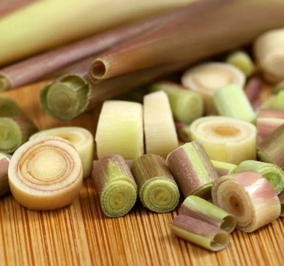 Fresh Lemongrass Stalks